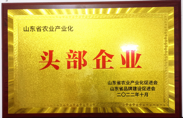 南陽湖農場入選山東省首屆農業(yè)產業(yè)化“頭部企業(yè)”