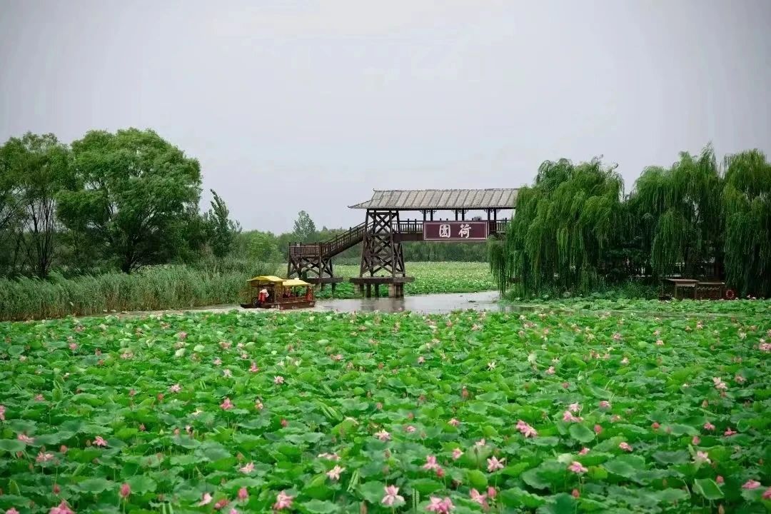 惠民卡推薦景區(qū)-微山湖旅游區(qū)